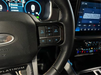 2022 Ford F-150 Platinum